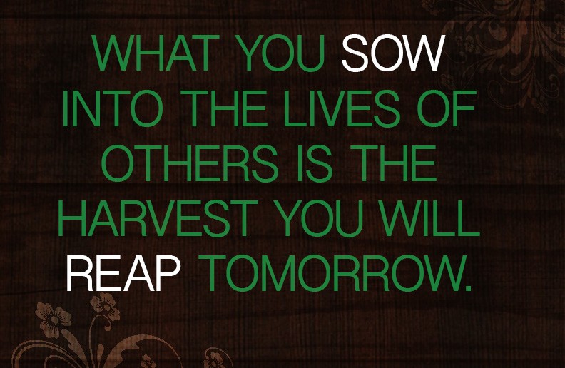 sowing & reaping